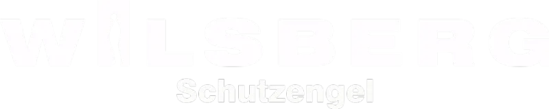 Wilsberg - Schutzengel