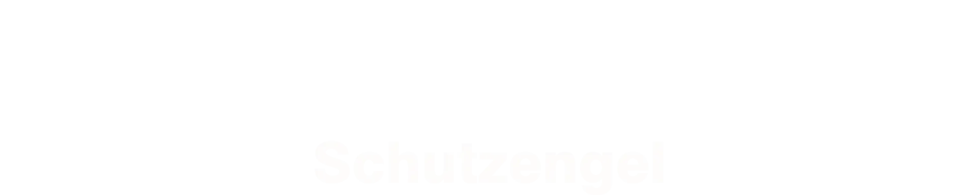 Wilsberg - Schutzengel