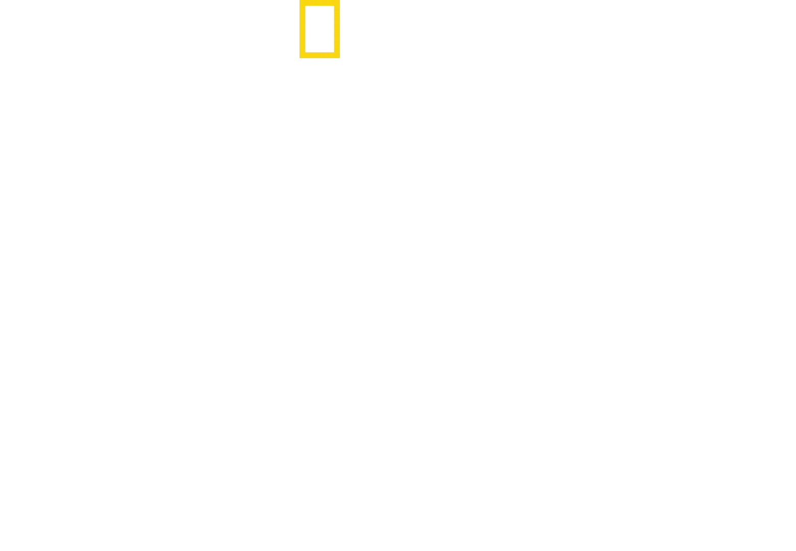 World's Biggest Bullshark