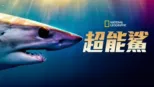 thumbnail - Shark Superpower