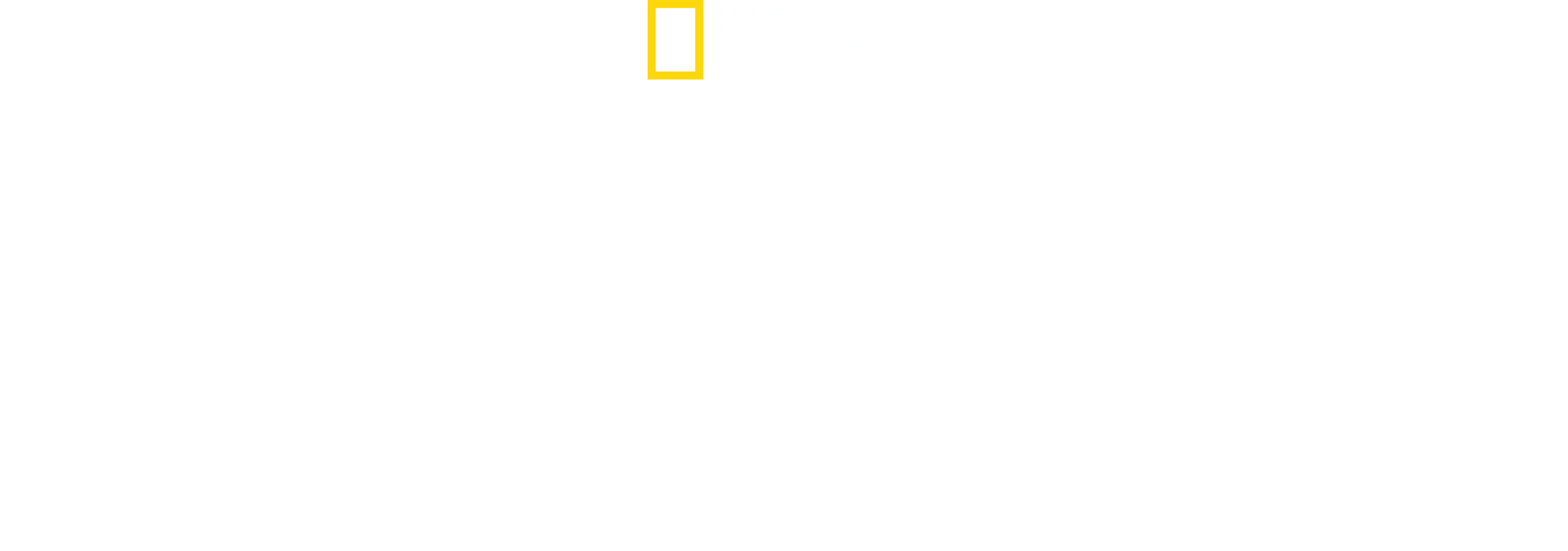 Köpekbalığı Oyunları