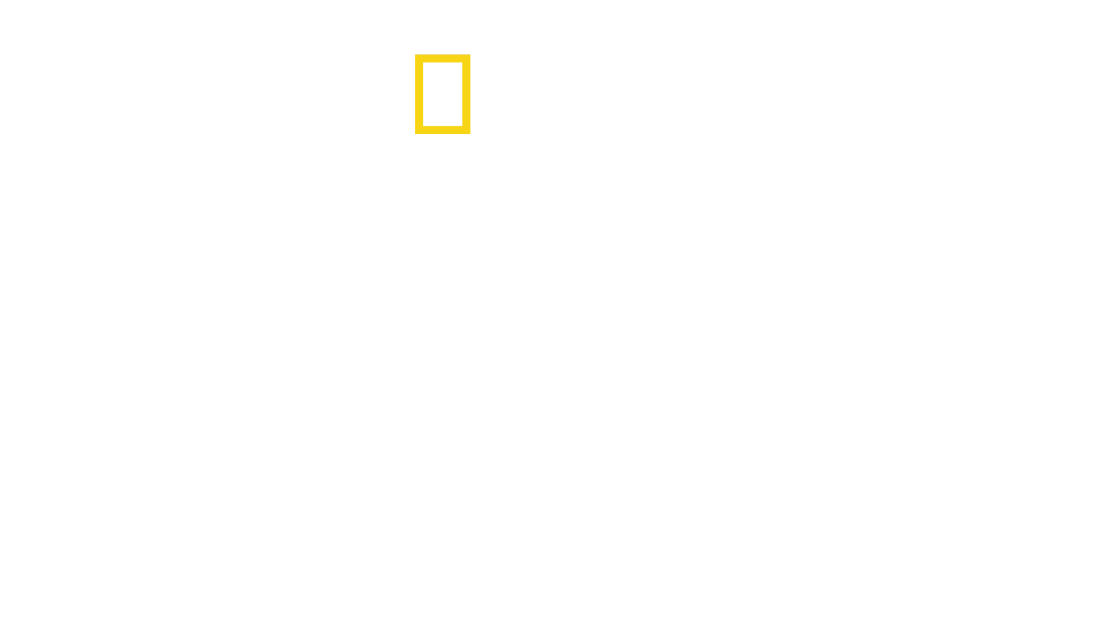 Rechini contra delfini