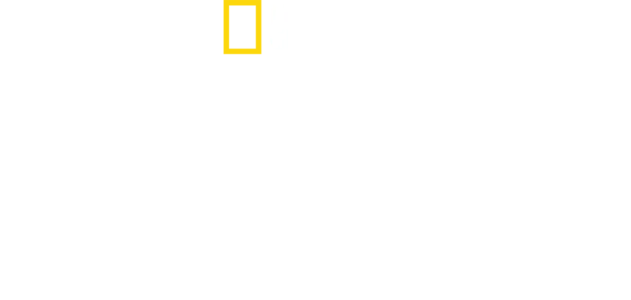 Divoká Argentina