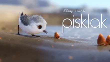 thumbnail - Pisklak