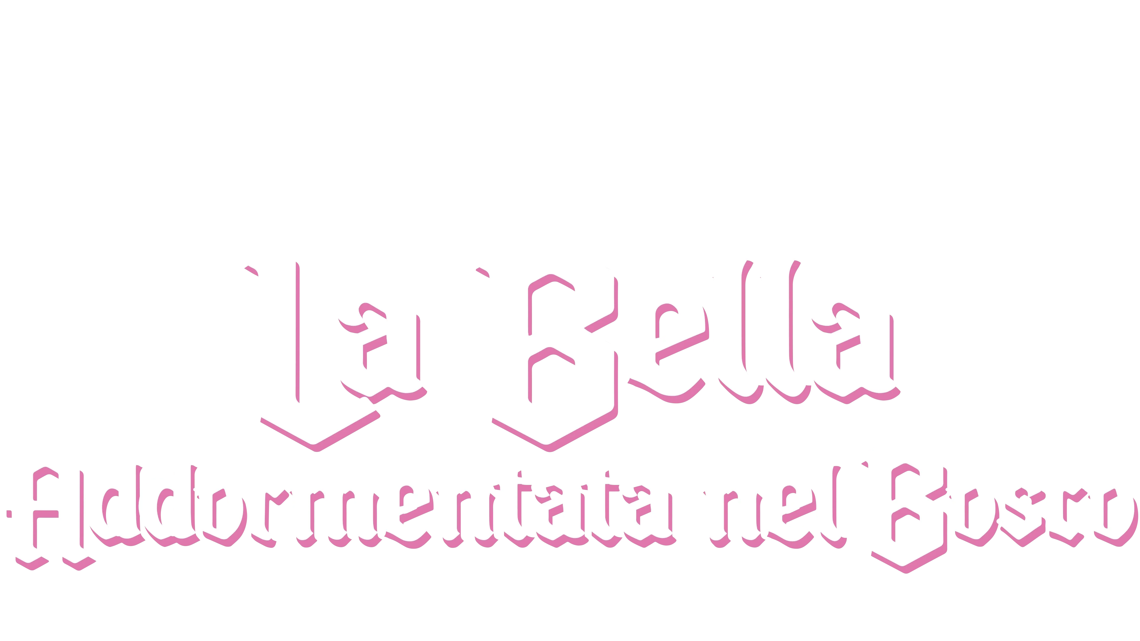 La bella addormentata nel bosco