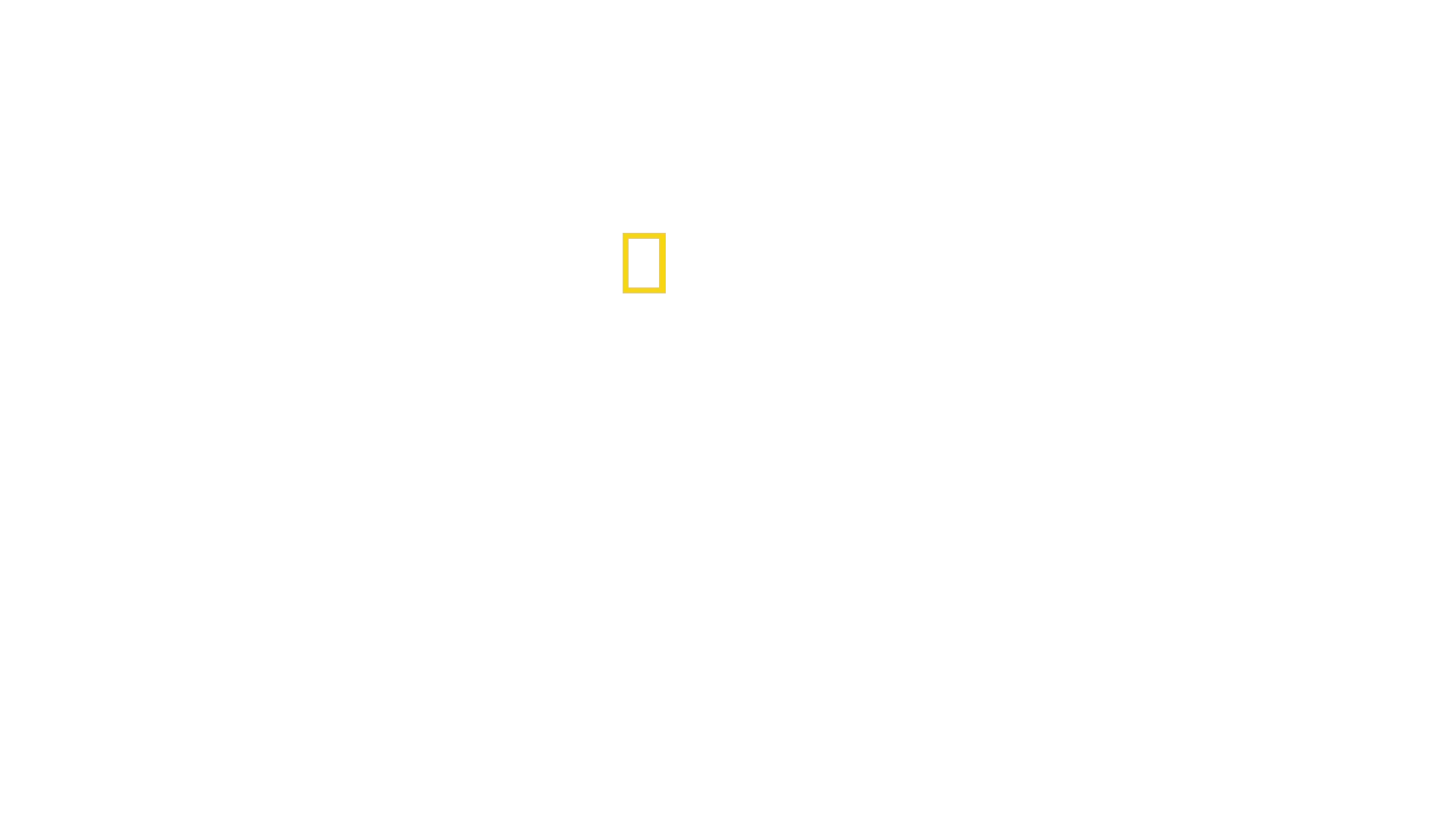 Amaragem Milagrosa no Rio Hudson