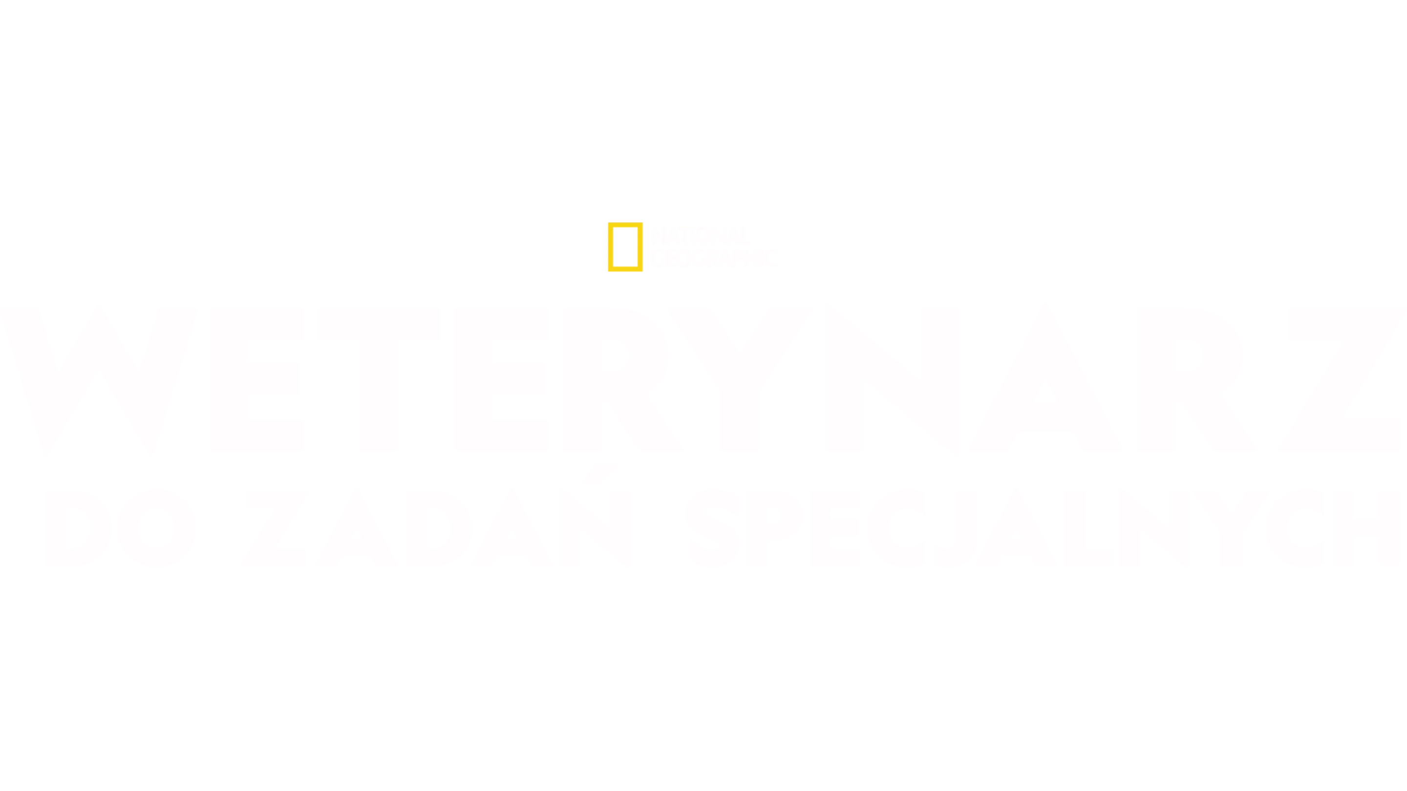Weterynarz do zadań specjalnych
