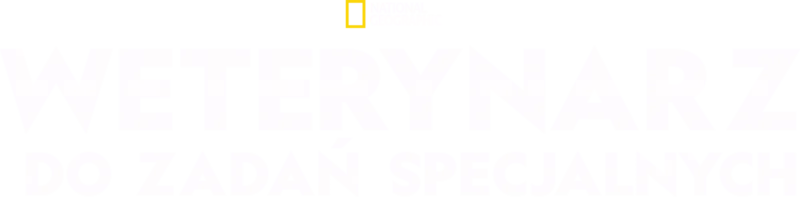 Weterynarz do zadań specjalnych