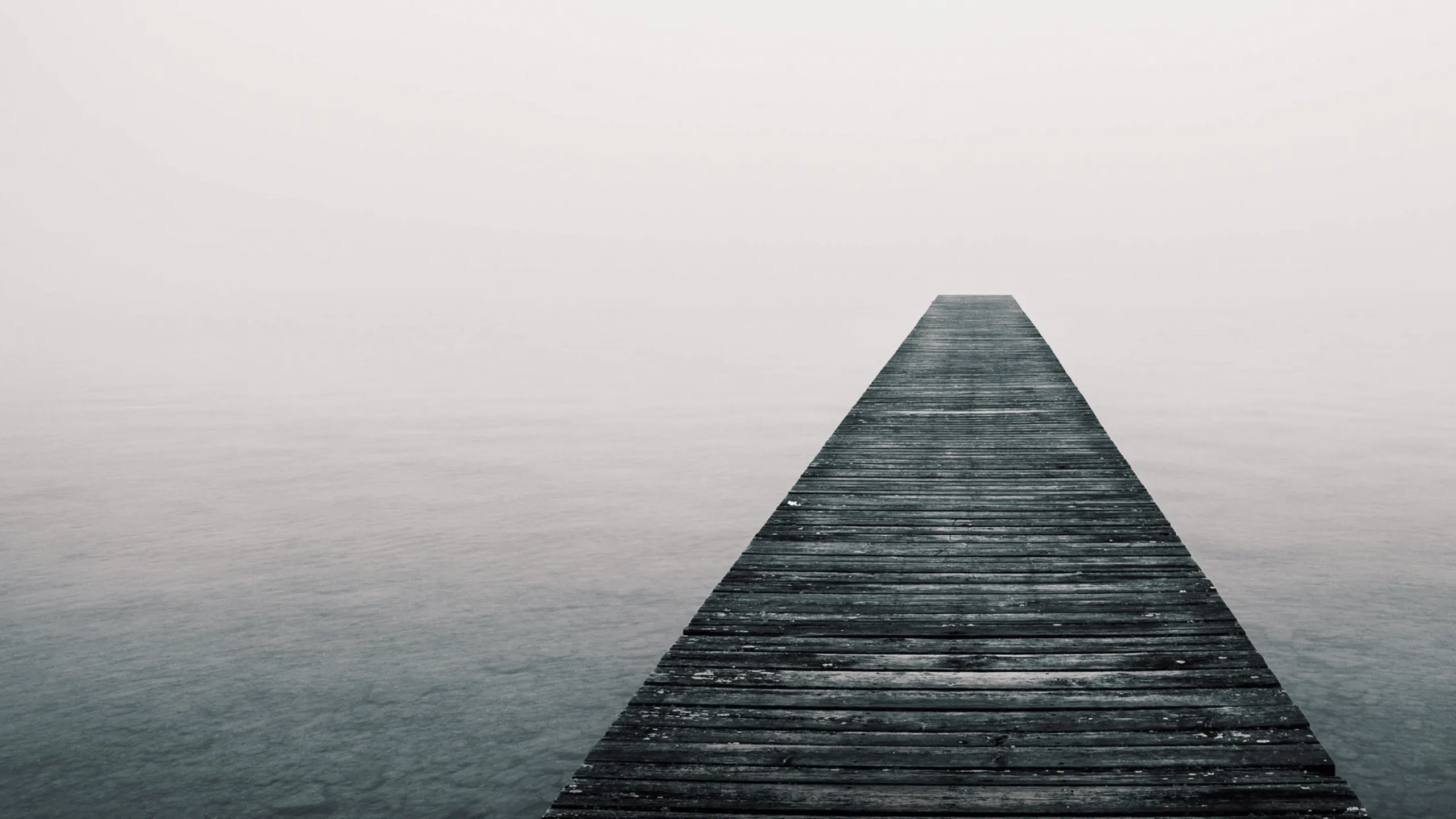 The Lake Erie Murders