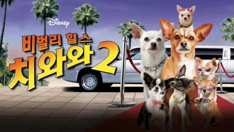 thumbnail - 비벌리 힐스 치와와 2