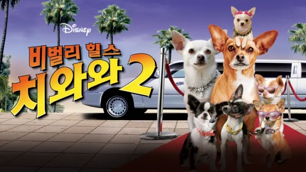 thumbnail - 비벌리 힐스 치와와 2