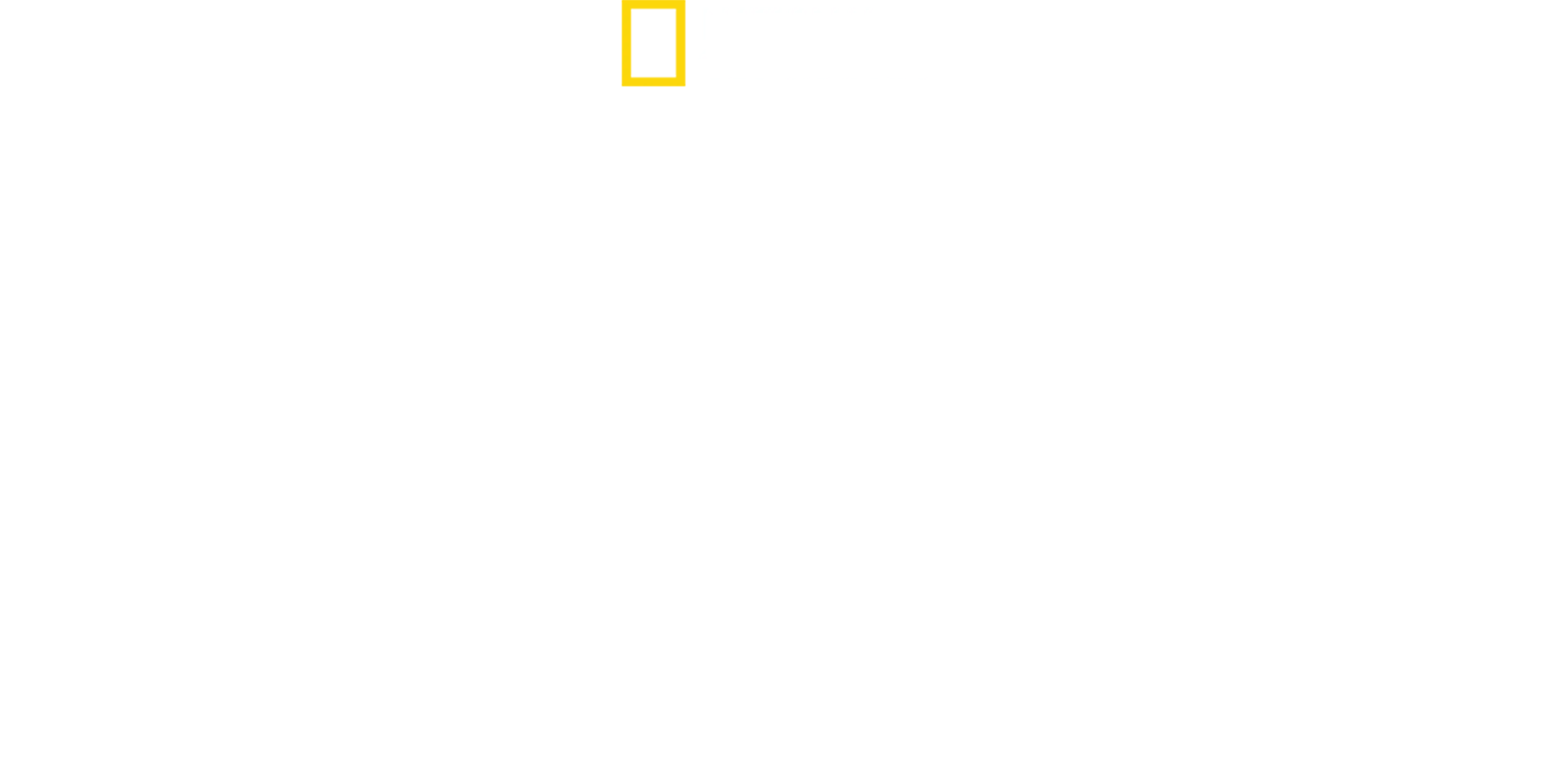 Ağaçtaki Aslanlar