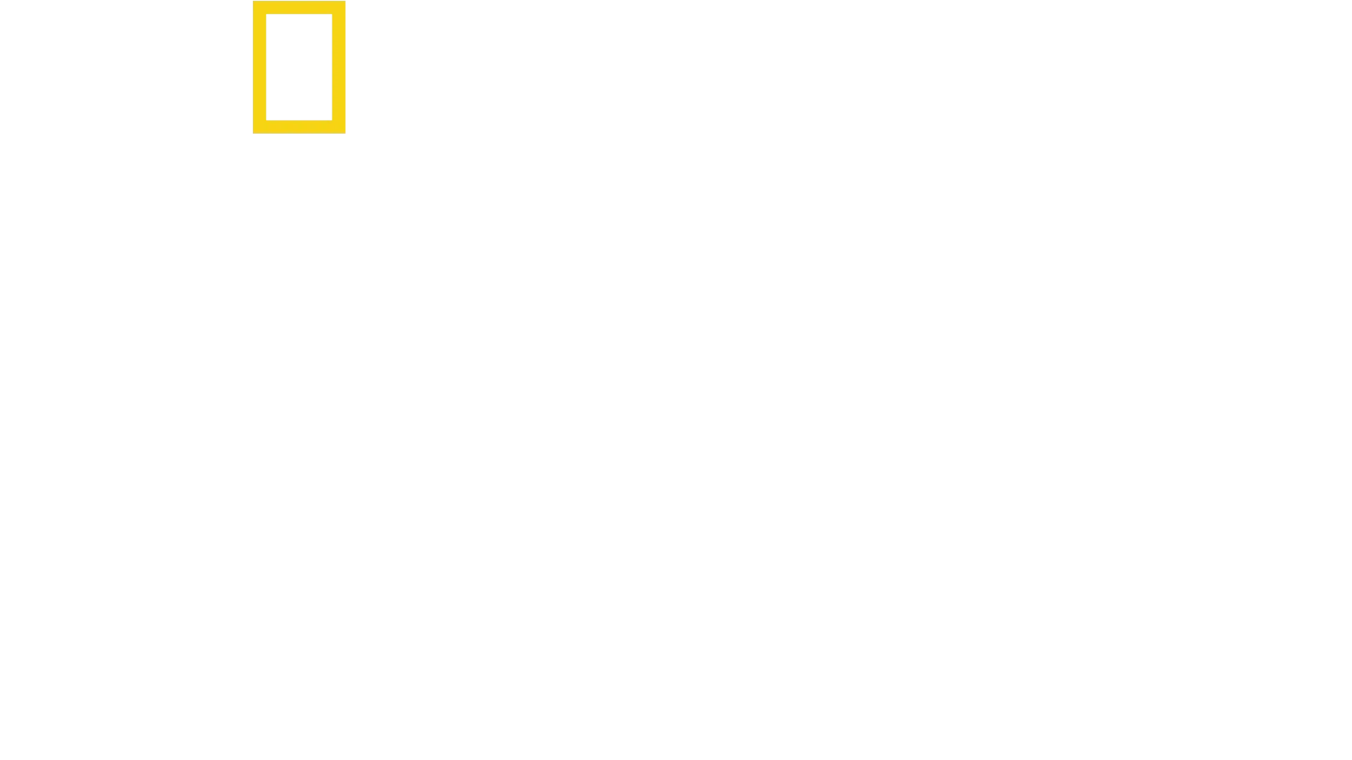 アントニが世界を巡る！セレブの食卓