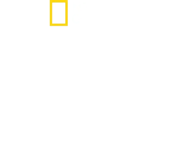 アントニが世界を巡る！セレブの食卓