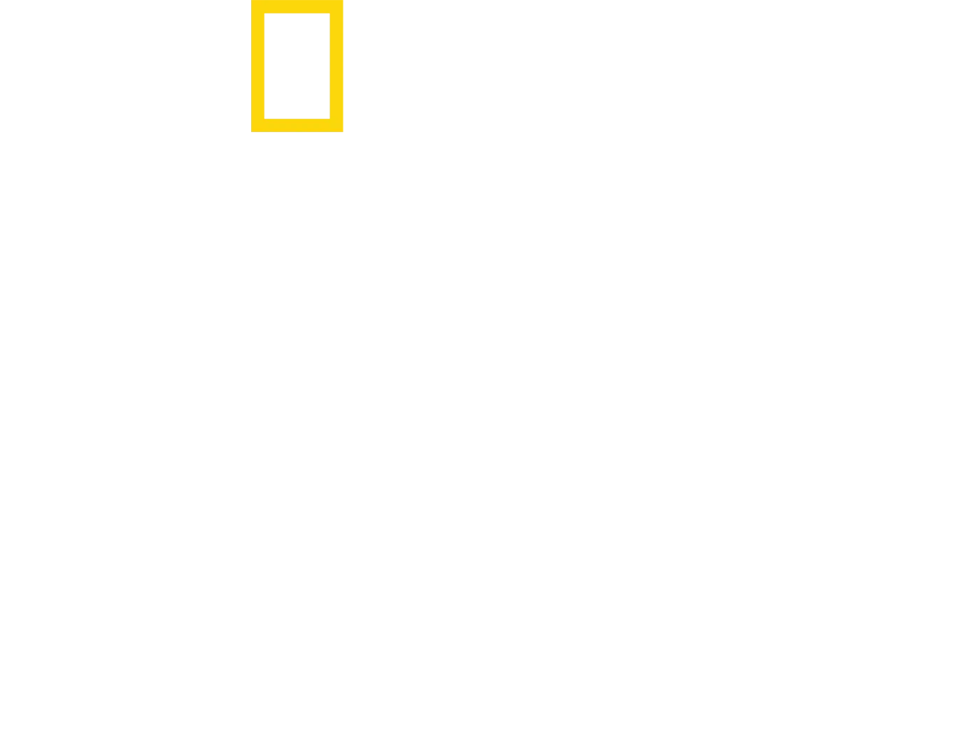 アントニが世界を巡る！セレブの食卓