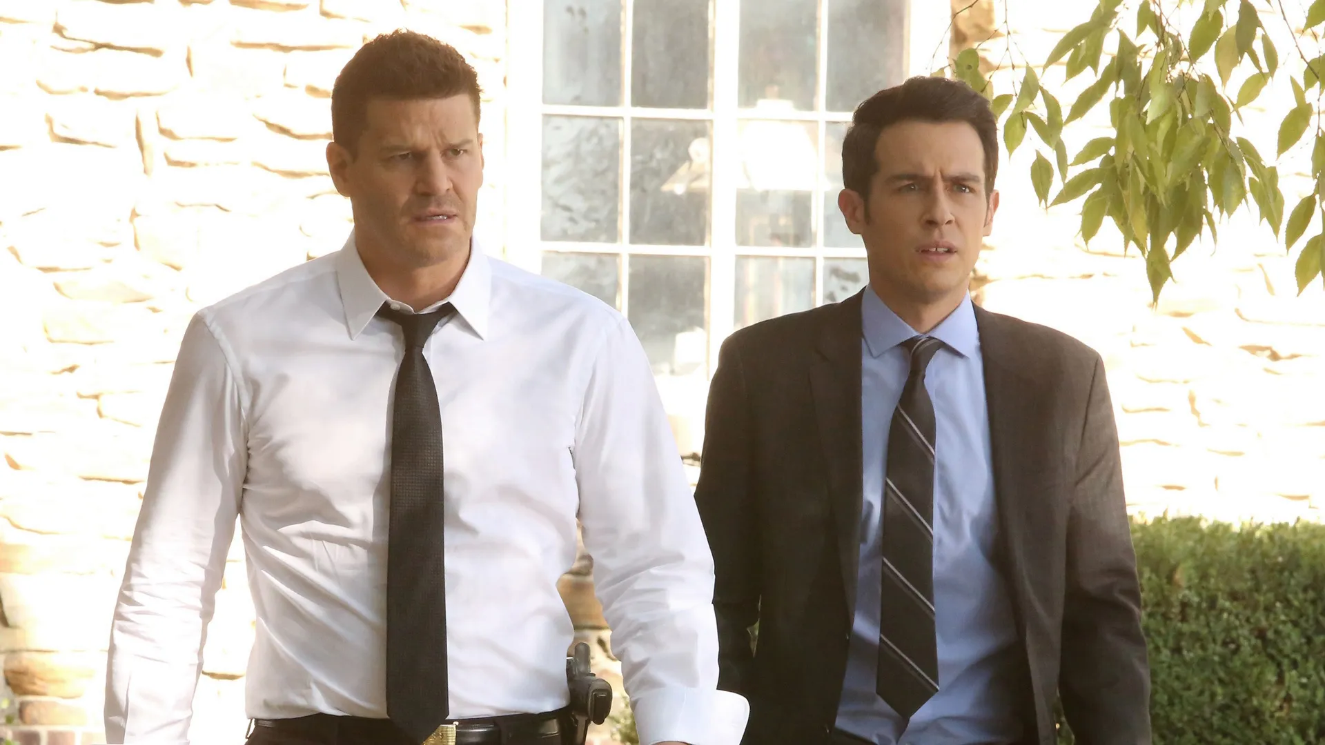 thumbnail - S12:E10 The Radioactive Panthers in the Party