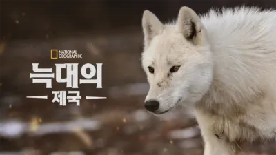 thumbnail - 늑대의 제국