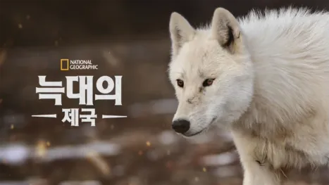 thumbnail - 늑대의 제국