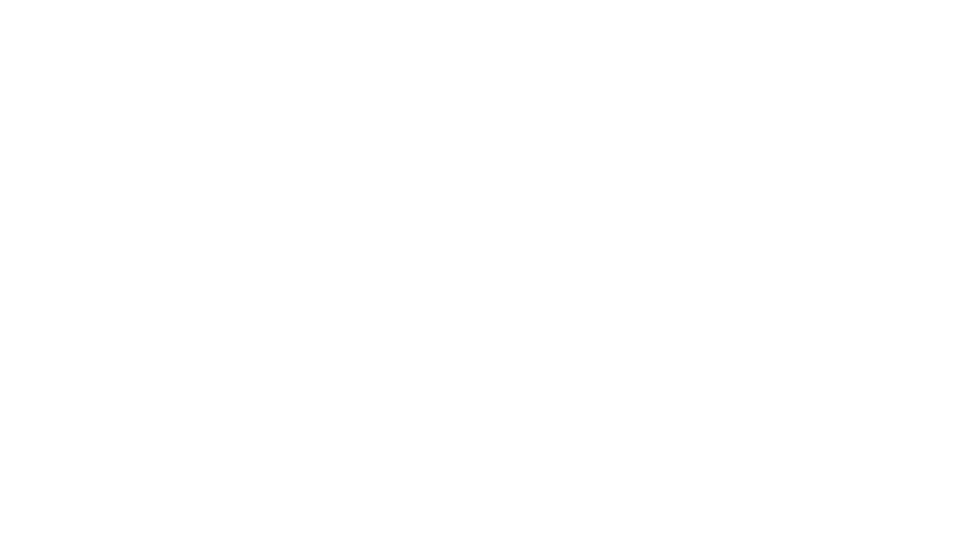 2020 Dustin Johnson