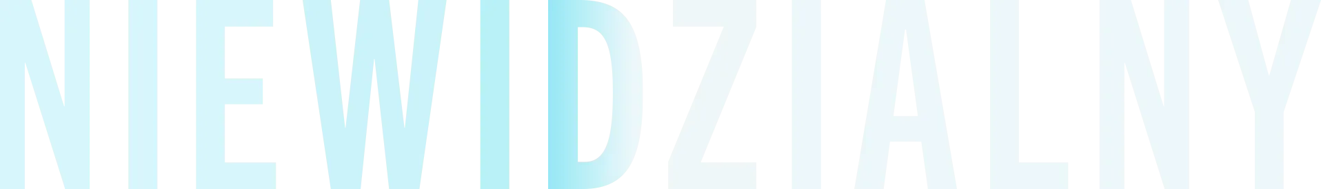 Niewidzialny