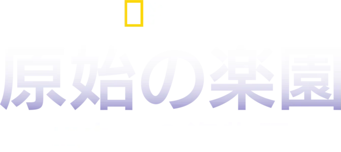 原始の楽園：ニウエの海物語