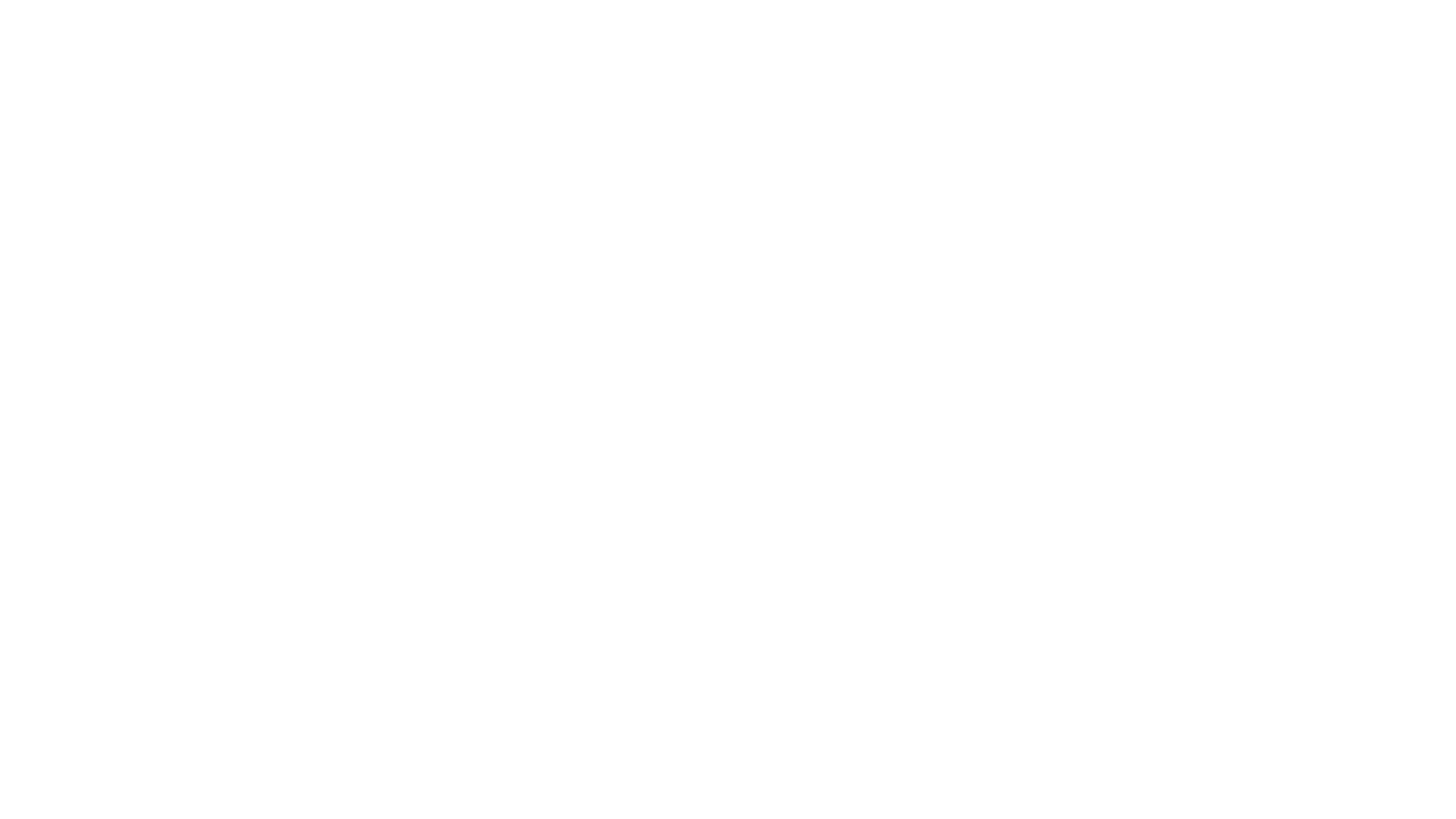 Os Elefantes