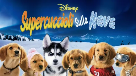 thumbnail - Supercuccioli sulla Neve