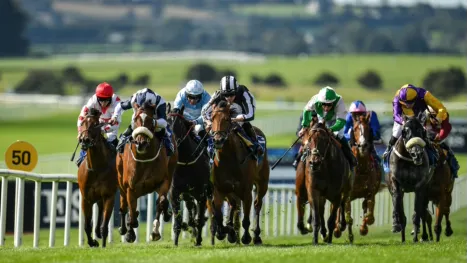 thumbnail - Juddmonte International