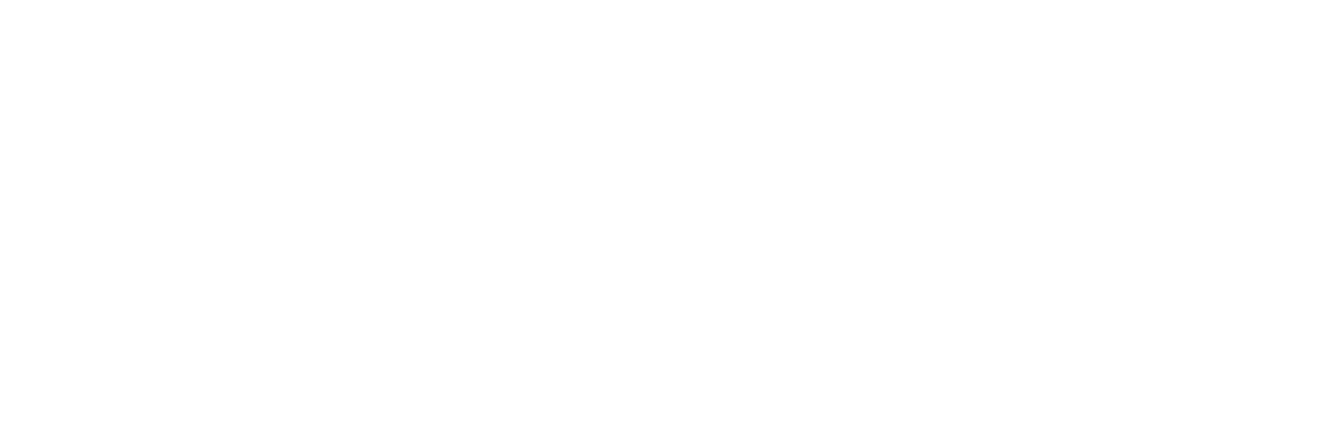 Marie Brand und die Ehrenfrauen