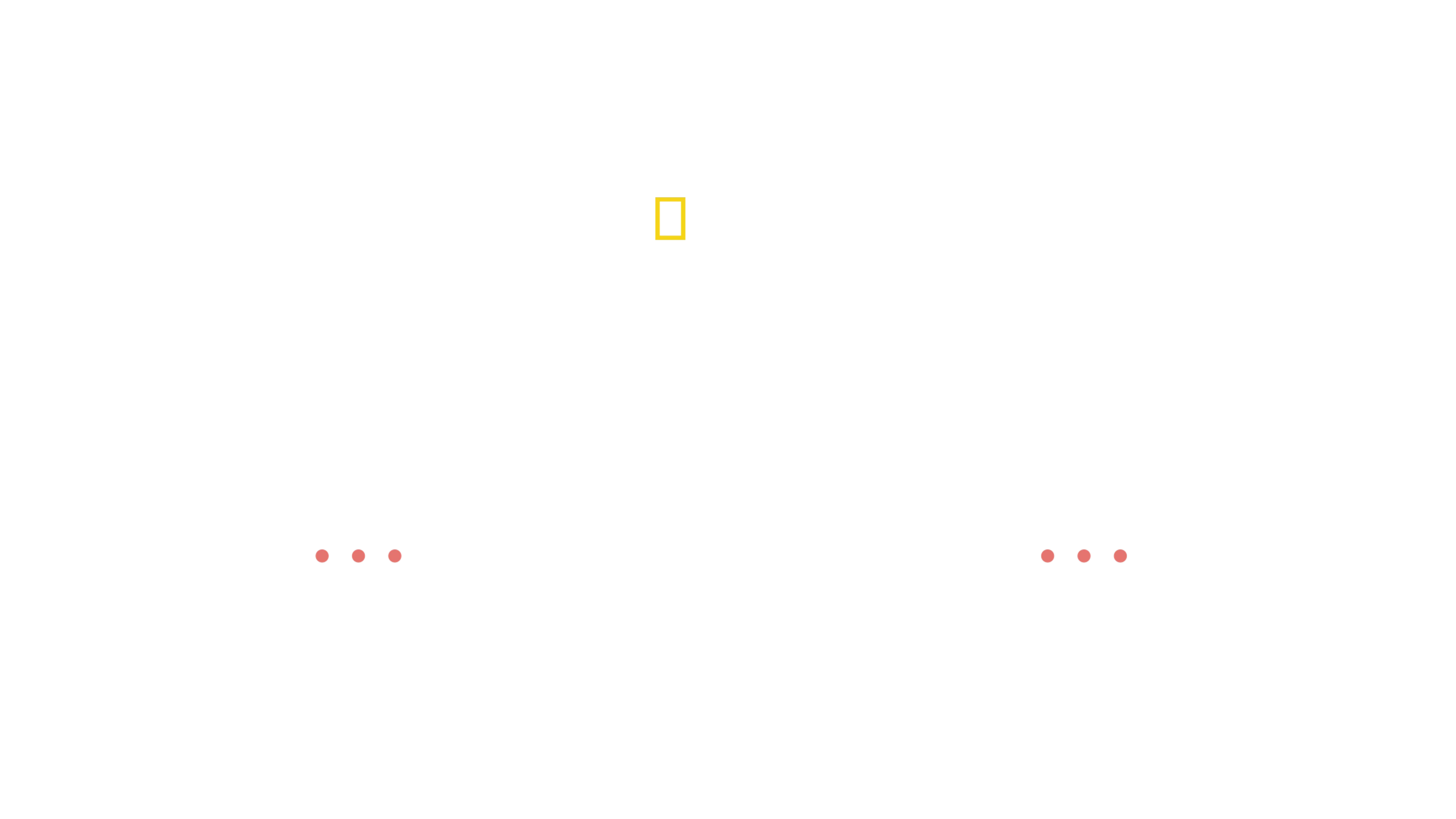 Dra. Joya - Dermatologista Animal