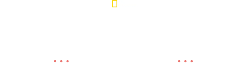 Dra. Joya - Dermatologista Animal