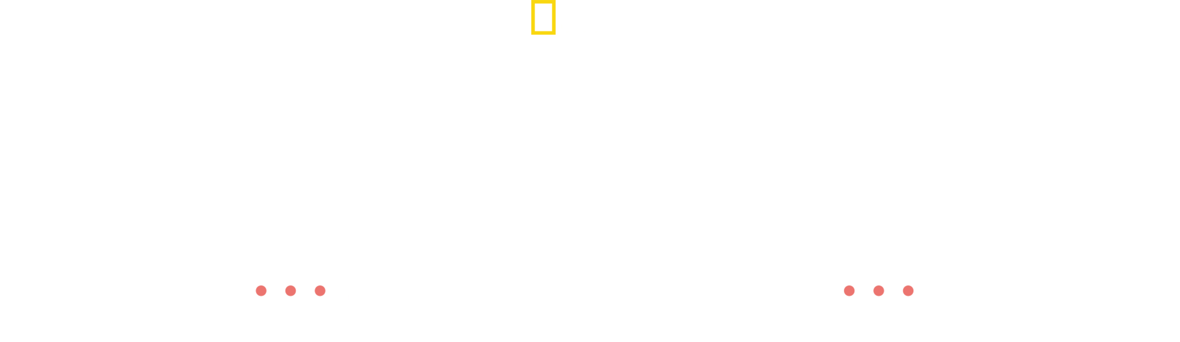 Dra. Joya - Dermatologista Animal
