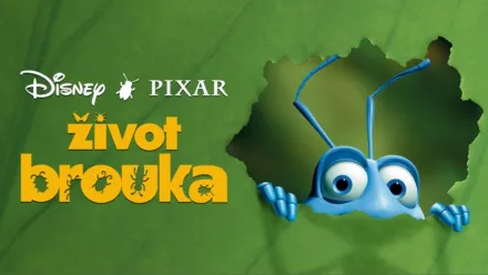 thumbnail - Život brouka