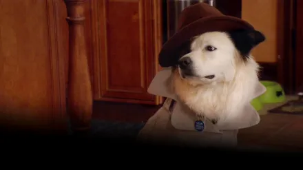 Dog With a Blog