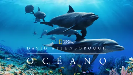 thumbnail - David Attenborough: Océano