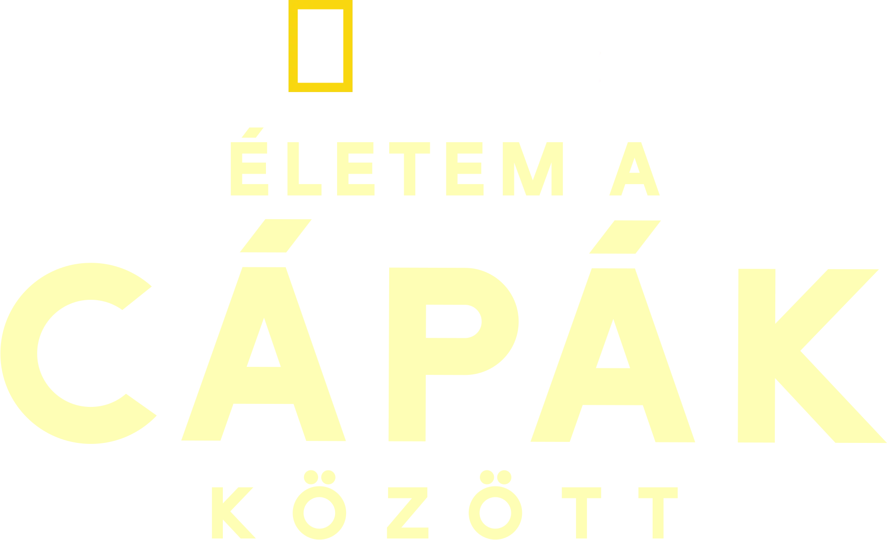 Életem a cápák között