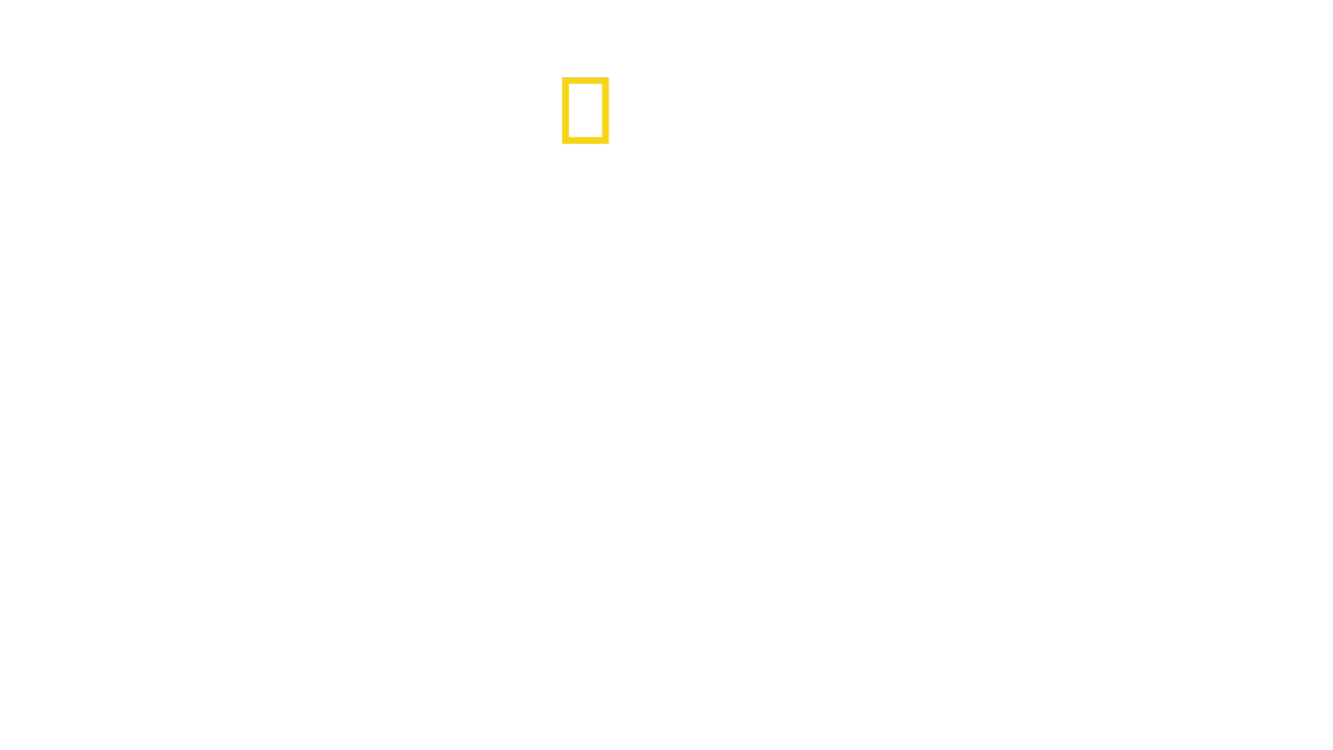 Un monde mortel : redoutables serpents