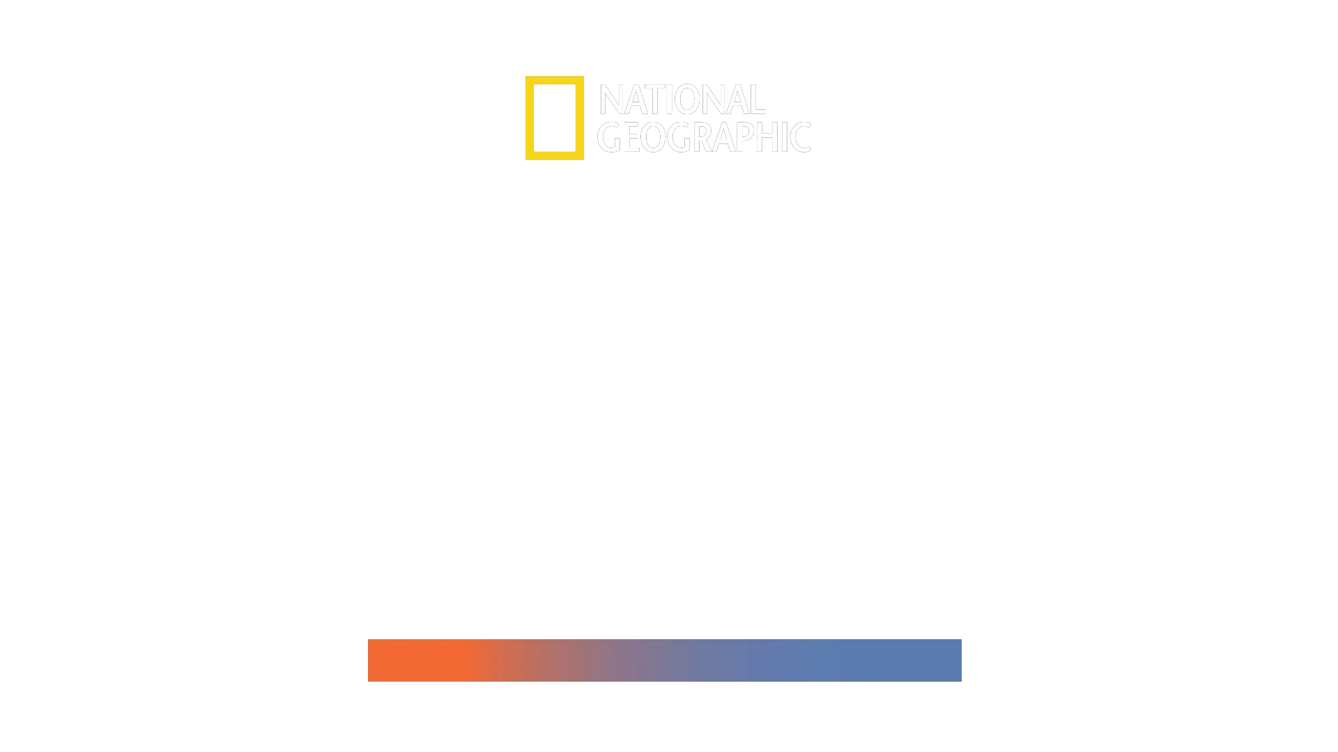 Mega requin-marteau