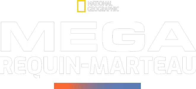 Mega requin-marteau