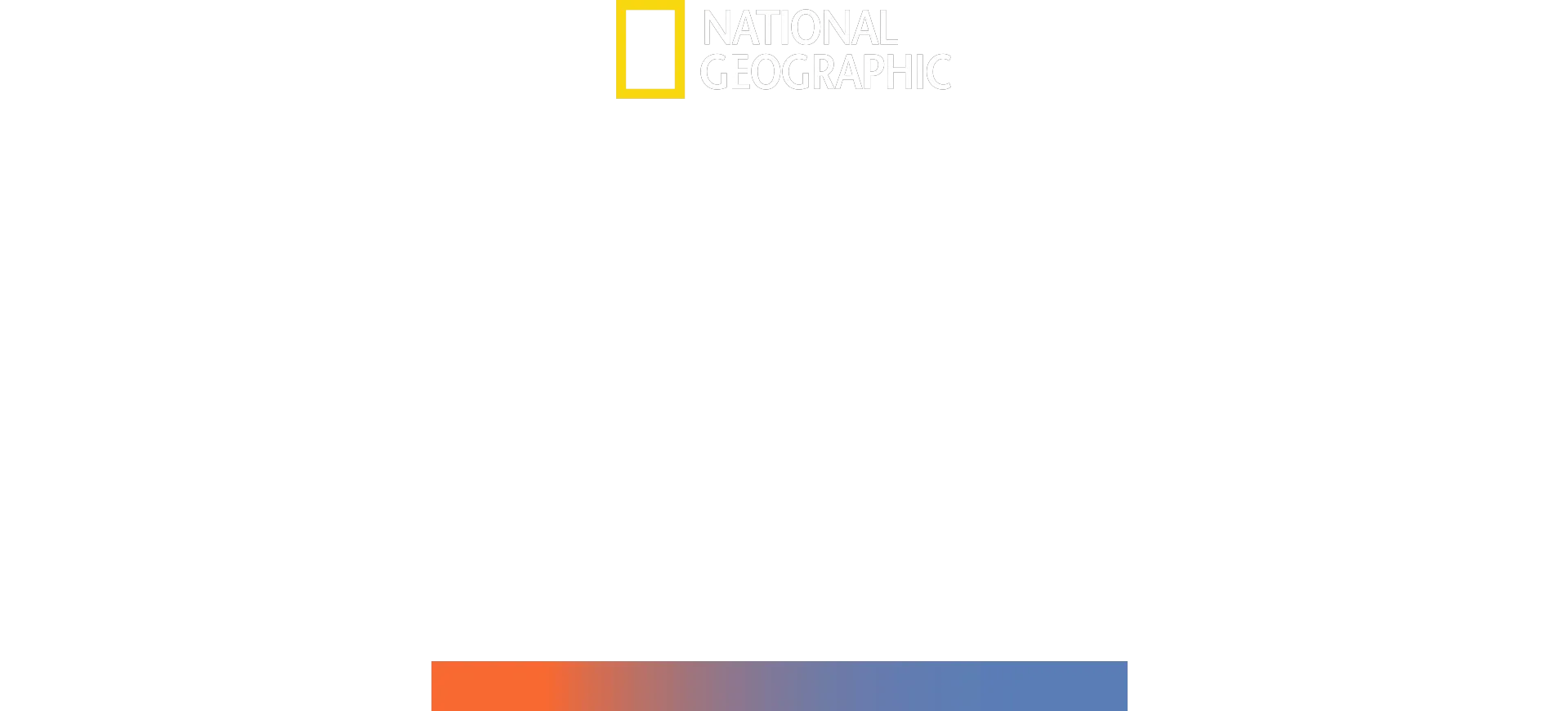 Mega requin-marteau