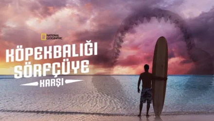 thumbnail - Köpekbalığı Sörfçüye Karşı