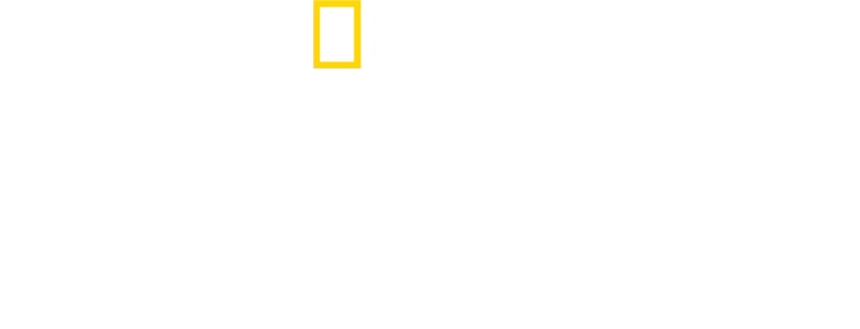 Le monde aime le pain