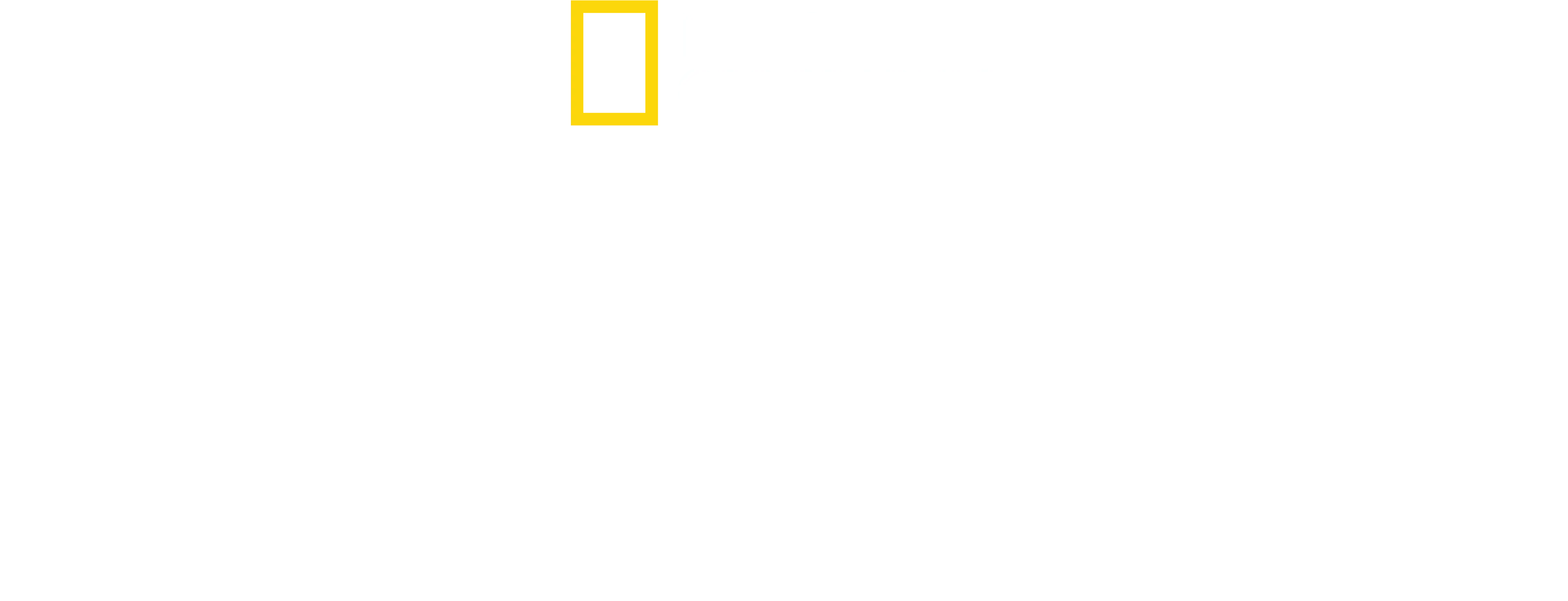 Le monde aime le pain