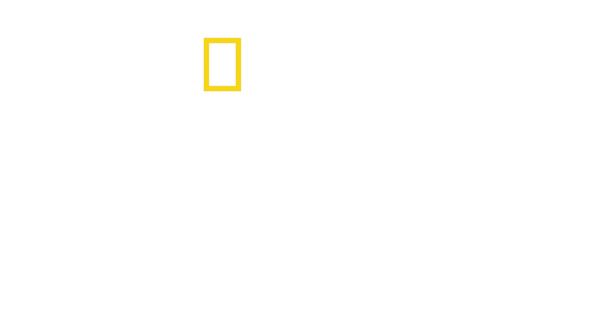 Čeluste oslavujú päťdesiatku