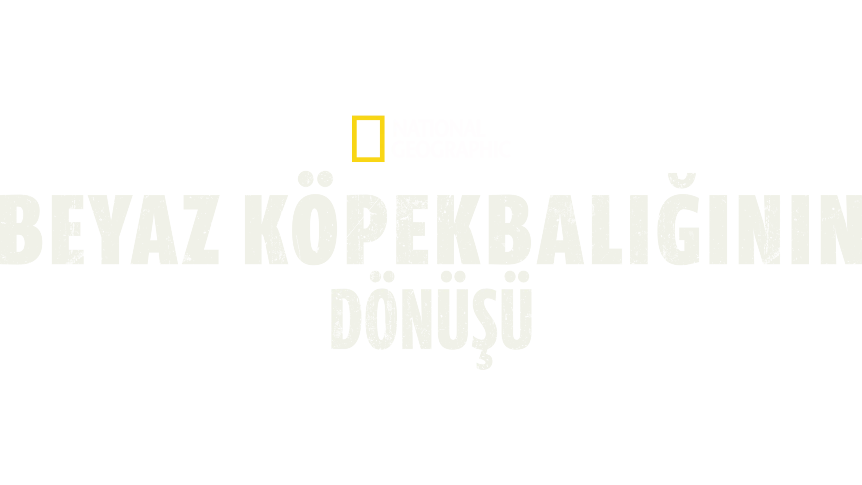 Beyaz Köpekbalığının Dönüşü