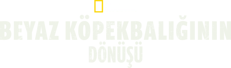 Beyaz Köpekbalığının Dönüşü