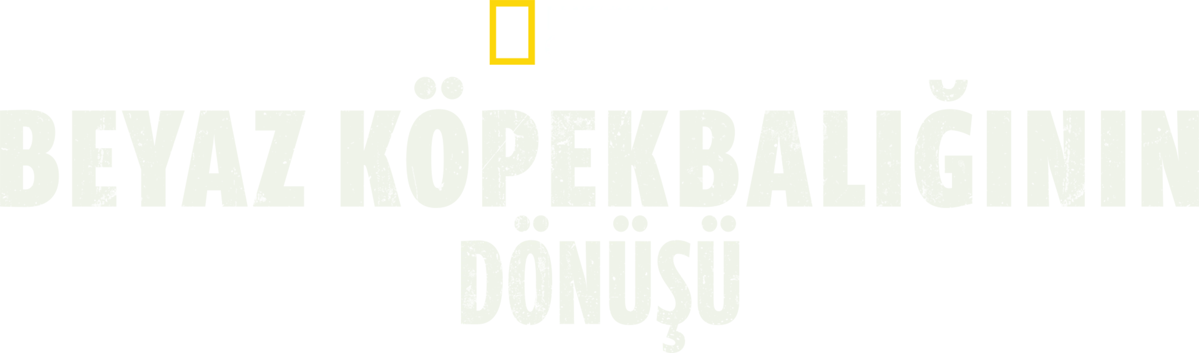 Beyaz Köpekbalığının Dönüşü