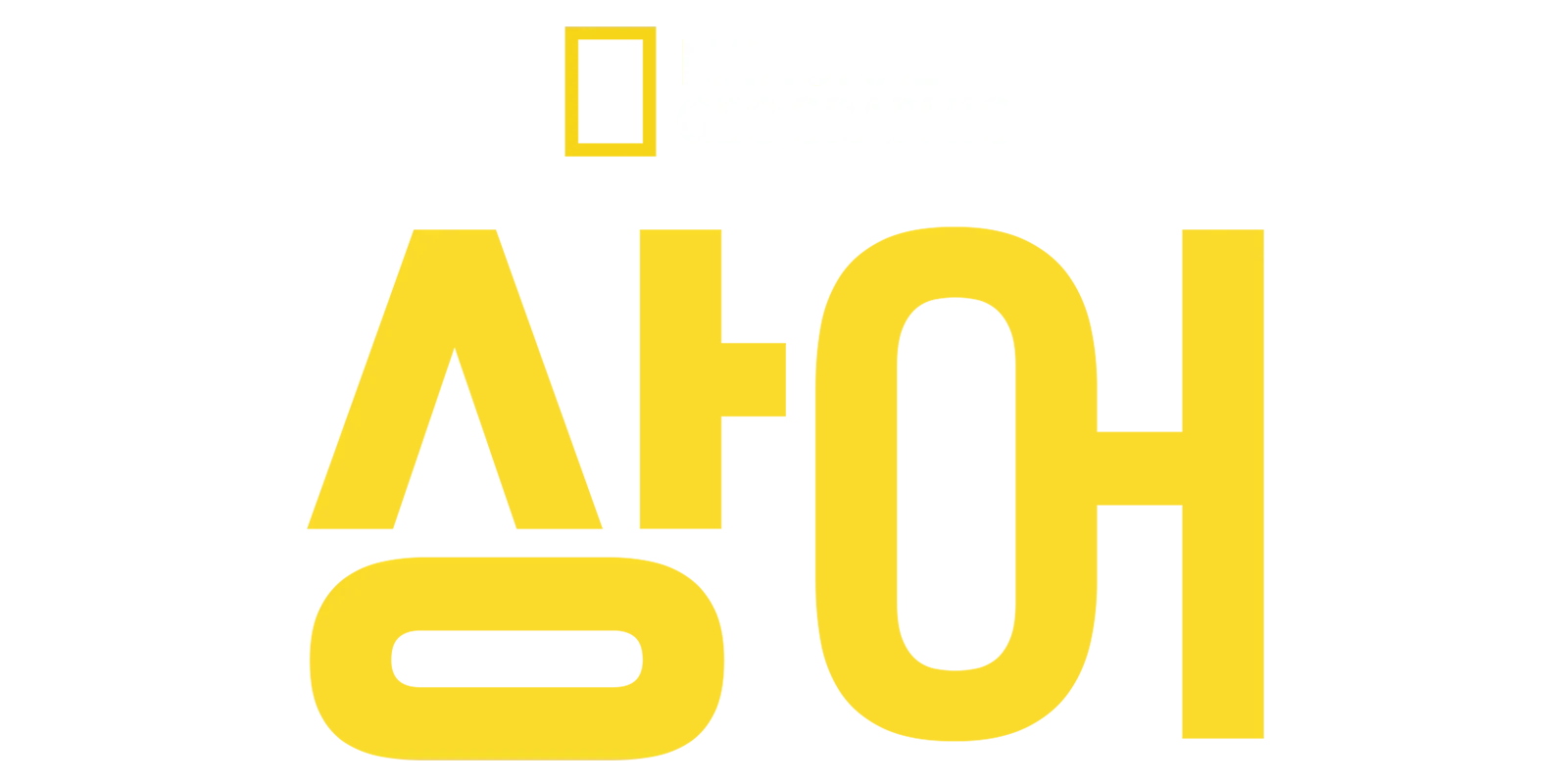 내셔널지오그래픽 상어