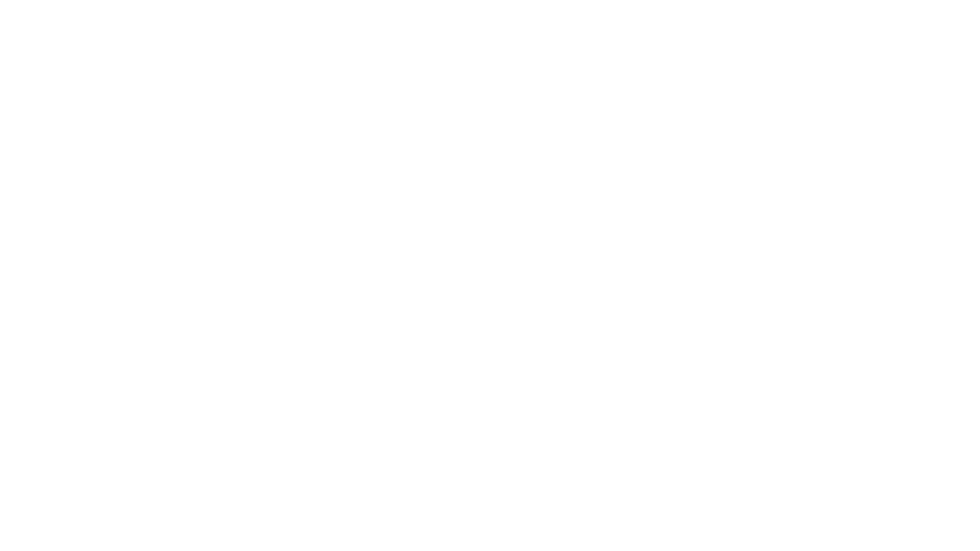 COPS : Les Forces du désordre