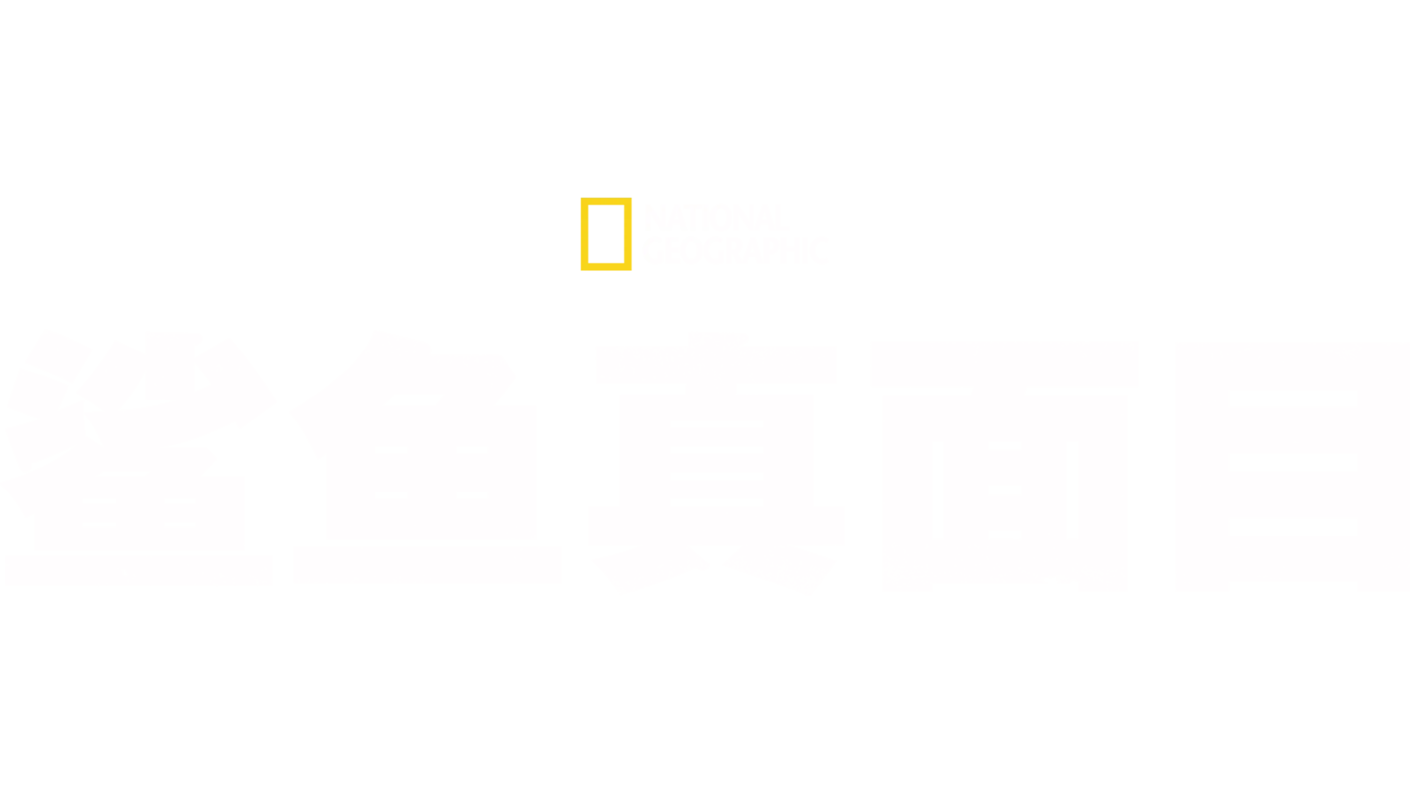 鲨鱼真面目